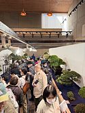 Bonsai artists and tree fanatics at Tokyo Metropolitan Art Museum