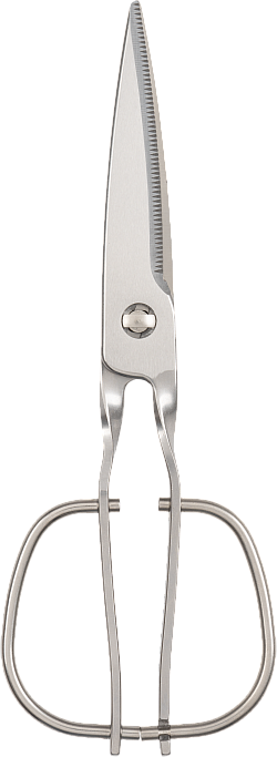 Kitchen Scissors