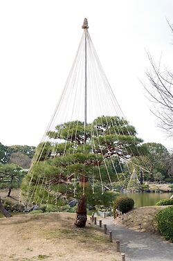 Kiyosumi Garden