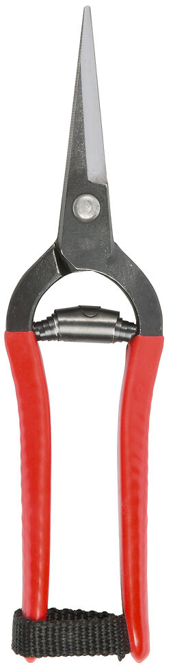 Niwaki Forged Snips