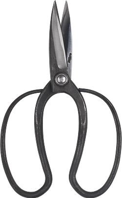 Taira Okubo Scissors