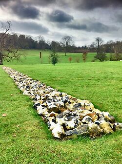 Richard Long1