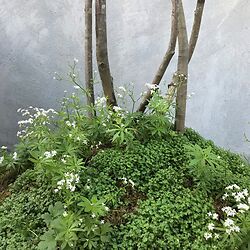 Mind Your Own Business, and Sweet Woodruff