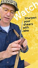 Sharpen your shears with Niwaki’s Jake Hobson