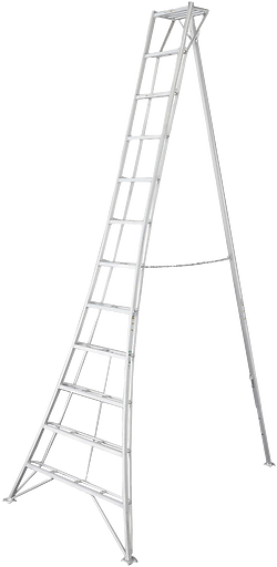 Niwaki Tripod Ladder 12' Original