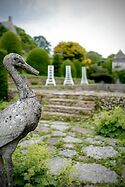 Niwaki At Mapperton Gardens