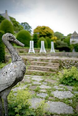 Niwaki At Mapperton Gardens