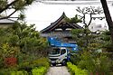 Pine Pruning At Nanshu Ji 7