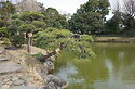 Kiyosumi Garden