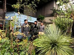 The Furukawa Brothers
