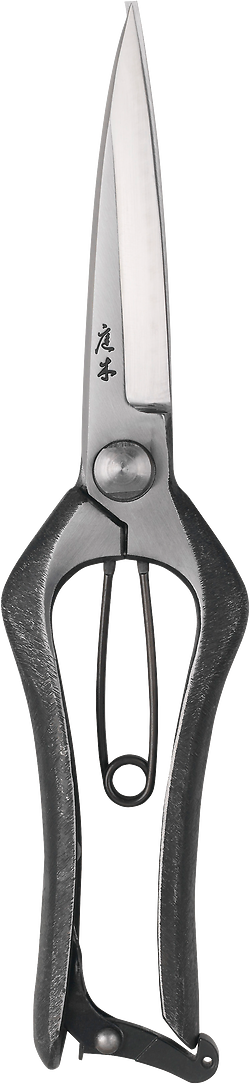 Niwaki Pro Barracuda Snips