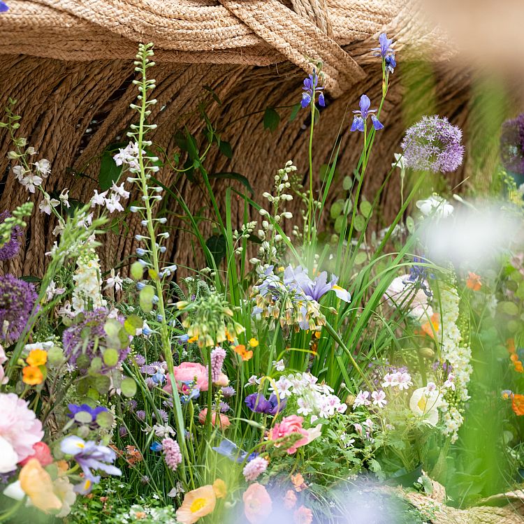 niwaki-floral-and-ikebana-essentials
