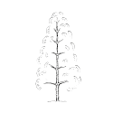 Tree 1_