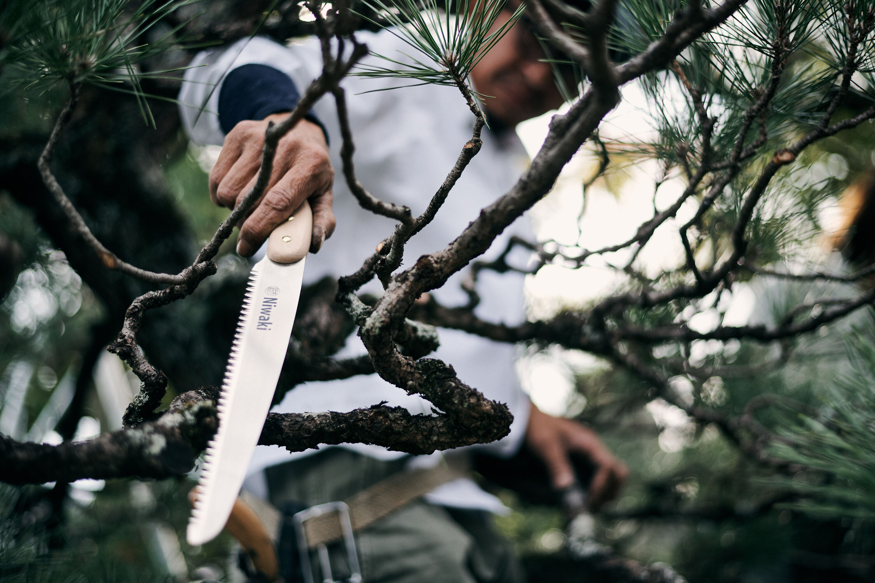 Niwaki Moku Pruning Saw