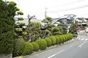 Aerial Clutter   Garden