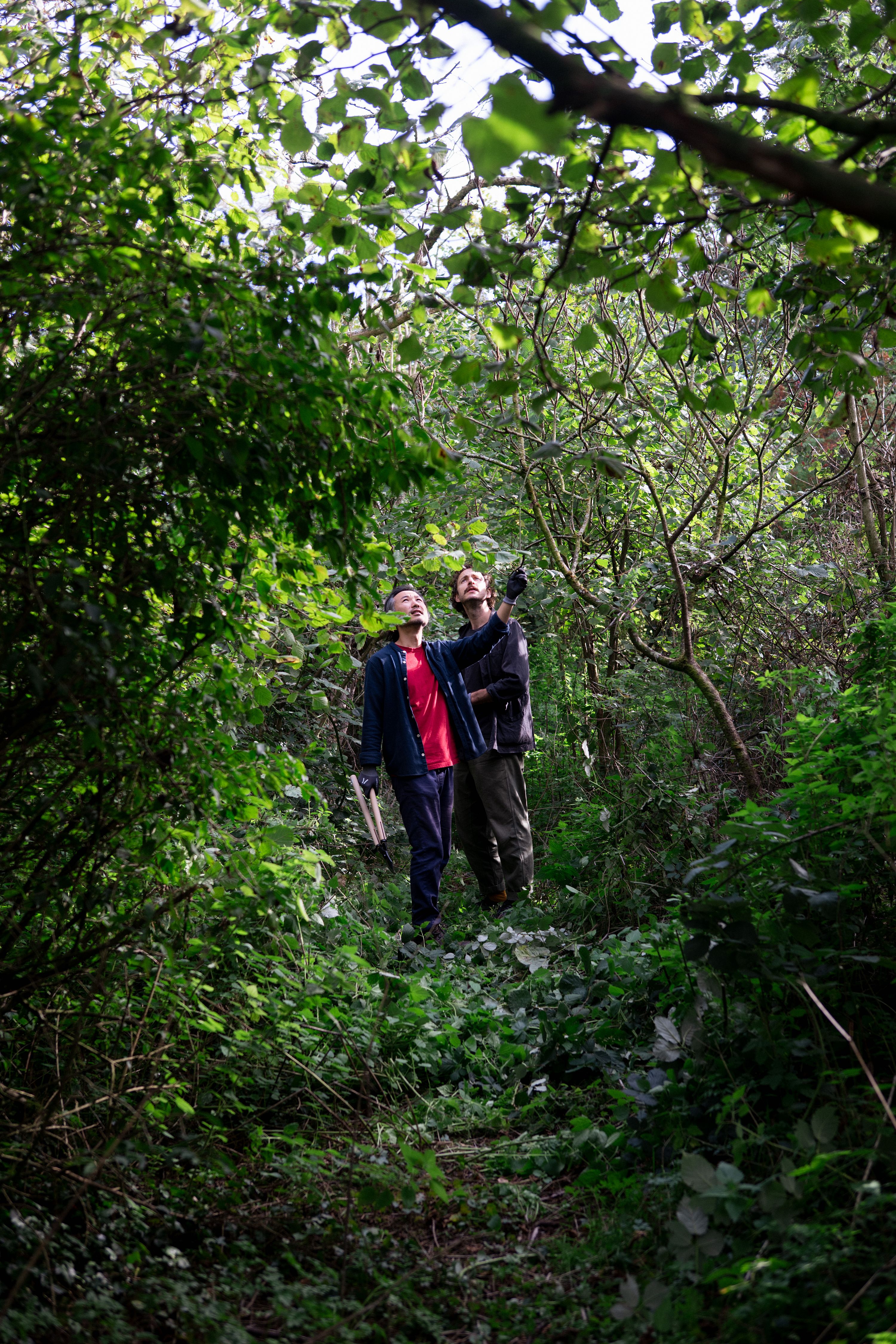 Batcombe Tom and Je Ahn