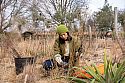 Yui starts pruning