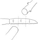 Saw Diameter Diagram