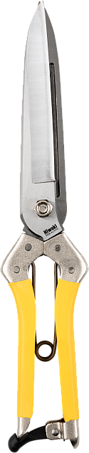 Niwaki Daikiba Clippers • Back