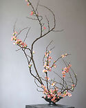 Niwaki Workshops: Ikebana with Frida Kim