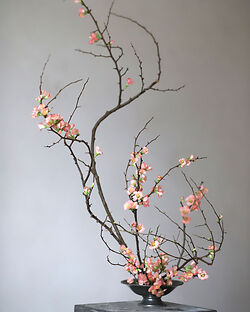 Niwaki Workshops: Ikebana with Frida Kim