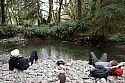 Olympic National Park