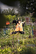 Allotment scarecrow monkey