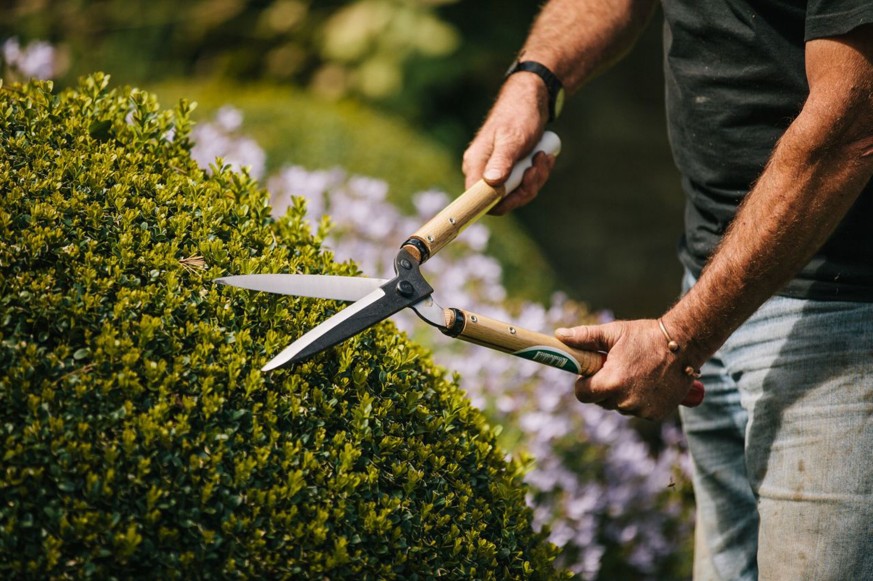 Okatsune Japanese Shears - Garden Shears