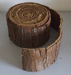 Sugi Tape