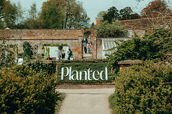 Planted Niwaki at Stourhead