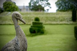 Niwaki At Mapperton Gardens