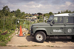 Niwaki visits a North London allotment