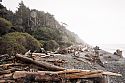 At the prosaically named “Beach 2", the Pacific tosses huge redwood logs like kindling