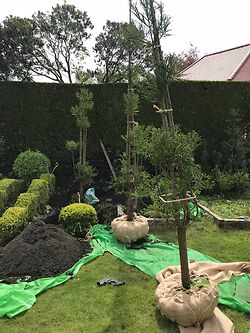 Build Up to The Chelsea Flower Show