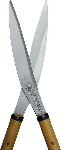Tobisho Shears