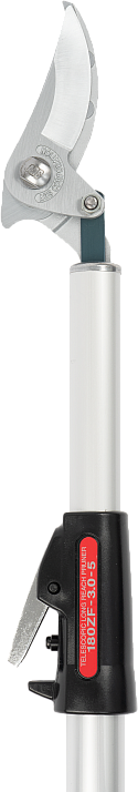 Telescopic Pruner