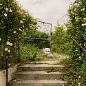 7th Avenue Garden. Photo: Rio Asch Phoenix