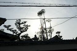 Aerial Clutter Sugi