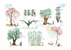 Trees of Japan