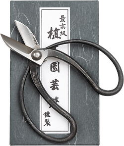 Taira Koryu Scissors • Box View