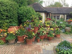 Whichford Pottery