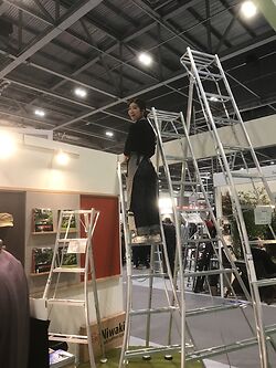 Yuri Up A Niwaki Tripod Ladder