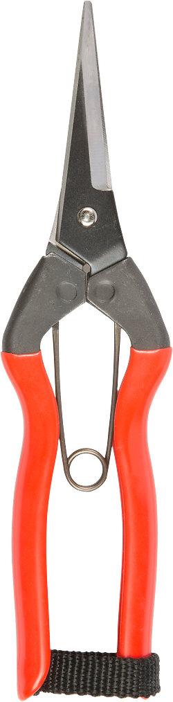 Niwaki Garden Snips