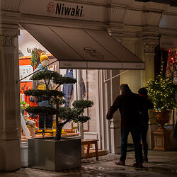 Late night opening at Niwaki Chiltern Street