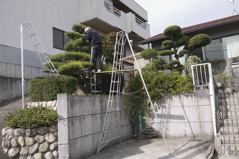 3 Tripod Ladders