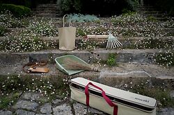 Niwaki At Mapperton Gardens