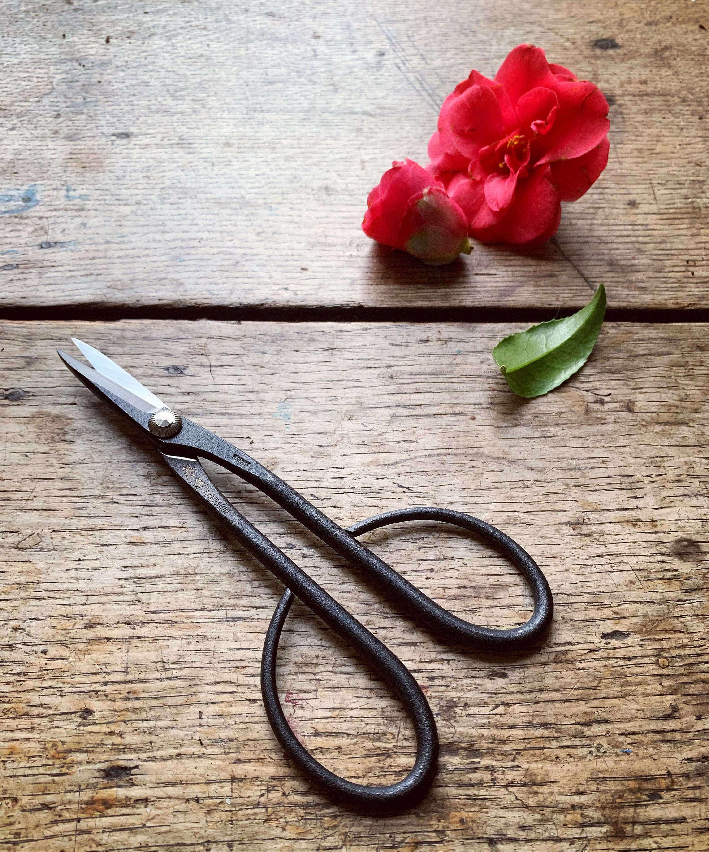 Kaneshin Bonsai Trimming Scissors