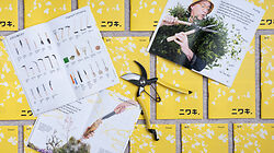 2022 Niwaki Catalogue is here