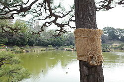 Kiyosumi Garden