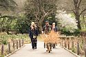 Walking through the Prairie Garden